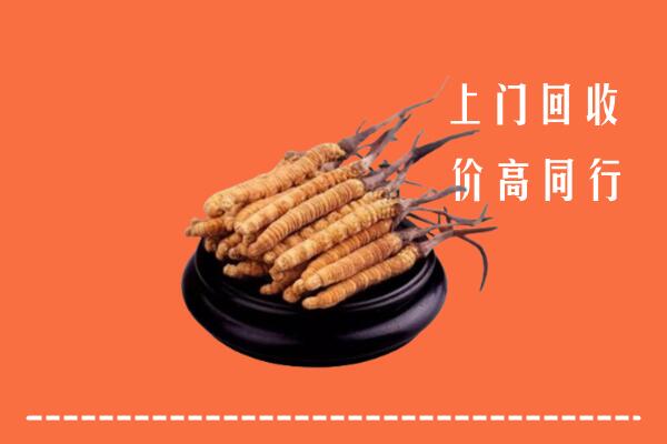 本溪回收散虫草