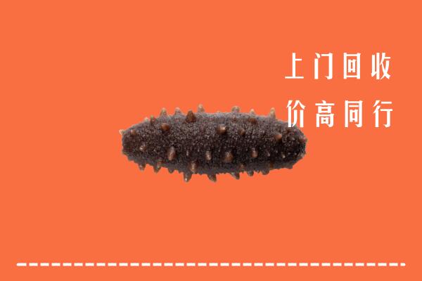 本溪高价回收海参